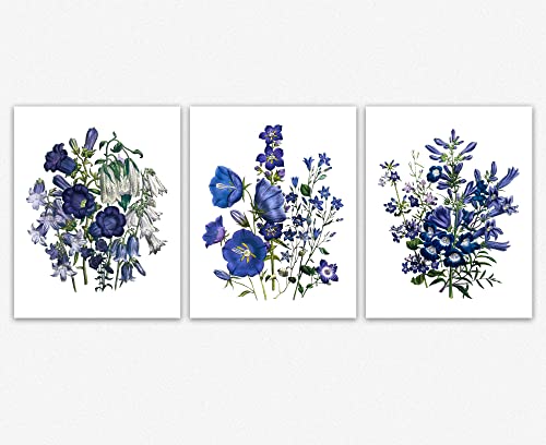 Láminas de flores azules para paredes vacías set de 3 posters de acuarela 28x36