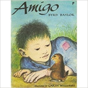 Amigo 0021794987 Book Cover