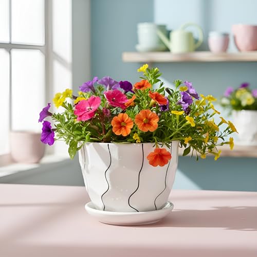Image of Xtore Graceful Textured Ceramic Planter with Abstract Line Detailing & Drainage Tray | Modern Indoor Plant Pot for Desk, Table & Shelf Styling (Planter only)