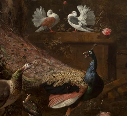 Art Tableau Ménagerie Melchior De Hondecoeter Décoration Cabinet d'Étude 60x90cm