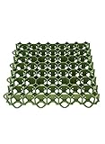 Abmessung: 50 x 50 x 4 cm Kunststoff-Rasengitter SG1 grün Rasenplatte Bodengitter 40 mm Rasenwaben Garten