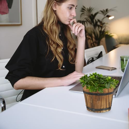 Pot en bois pour succulentes évitant la monotonie des bureaux