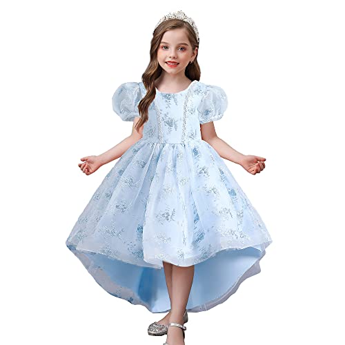 Robe de princesse à manches bouffantes pour cortège de mariage