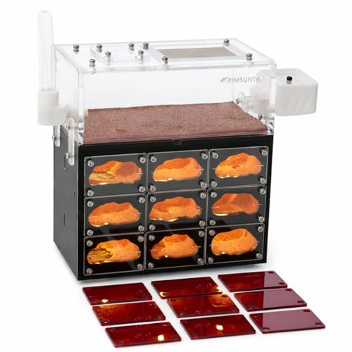 Ant Farm for Live Ants with Inner Lights - Large Viewing Area - Natural Learning Toy - Great Gift