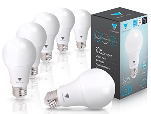 Triangle Bulbs LED Dimmable 60 Watt Equivalent Warm White A19 Light Bulbs (Daylight, 6-Pack)
