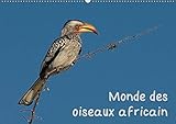 Monde des oiseaux africain (Calendrier mural 2019 DIN A2 horizontal): Des portraits d'oiseau fascinant de l'Afrique du sud (Calendrier mensuel, 14 Pages )