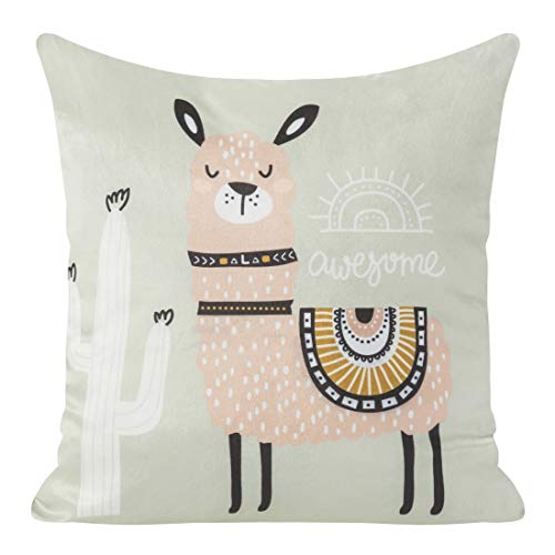 Design91 Lot de 2 Housses de Coussin 45 x 45 cm pour Chambre à Coucher ou Salon Beige + Rose Cover