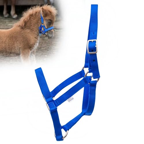 Jeffers Equine Miniature Nylon Horse Halter, Royal Blue - Mini Adult