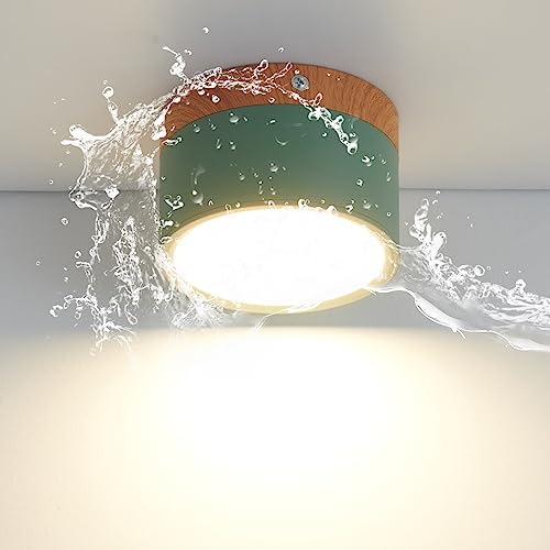 Schindora Plafonnier LED,Spot de décoration en bois monté en surface,Mini plafonnier rond vert,Blanc chaud 3000K,12W.