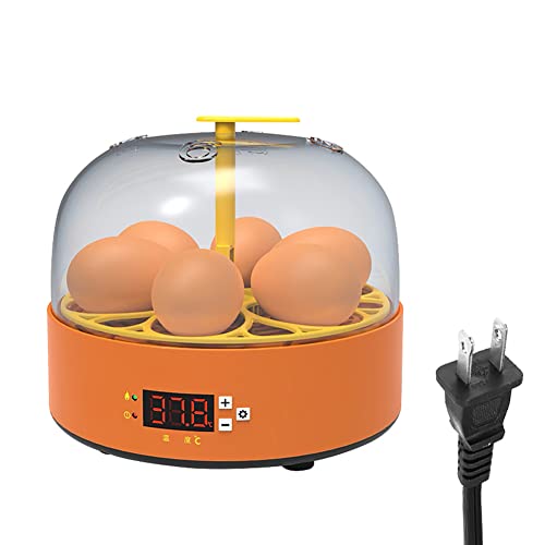 6 Ovos Crianças Experimental Ovos Incubadora Galinha Incubadora Ovos Incubadora Máquina Automática d