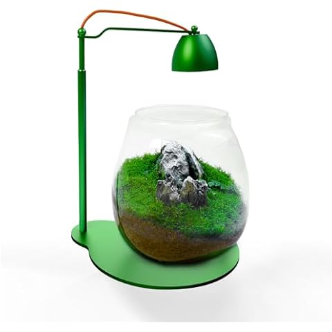 FZONE Terrarium with Light - Moss Micro Landscape Terrarium Set with Full Spectrum LED Freshwater Light, Timer & Adjustable Intensity, Ideal for Home Office Tabletop Deco Cover