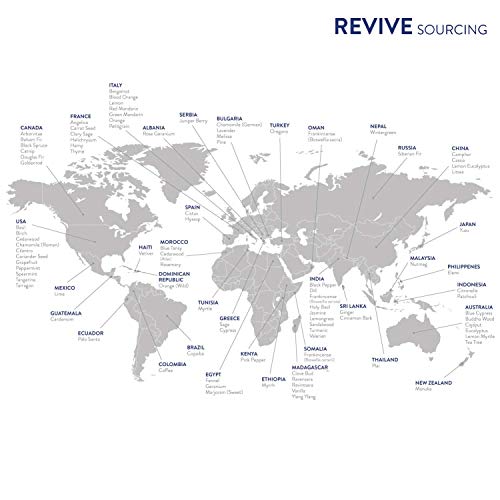 Mint Essential Oil by Revive Essential Oils - 100% Pure Therapeutic Grade, for Diffuser, Humidifier, Massage, Aromatherapy, Skin & Hair Care - Image 5