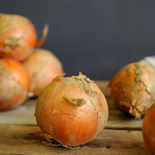 三笠aroundたまねぎMサイズ10kg 玉ねぎ 10kg 野菜 取り寄せ 北海道 三笠市