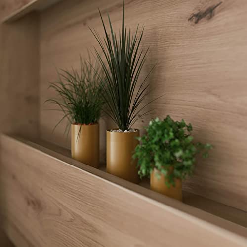 SMARTBett Schrankbett Standard 90x200 120x200 140x200 160x200 Bettschrank Wandbett Wildeiche/Weiss Hochglanz 90 Horizontal – Bild 8