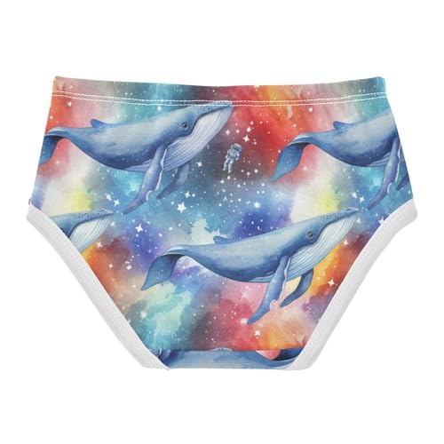Joisal Galaxy Whales Rainbow Gradient Girls Underwear Toddler 2t Cotton Panties for Girl Fancy Briefs Underpants2