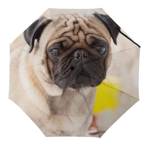 Parapluie pliant automatique et compact pour voyage et quotidien