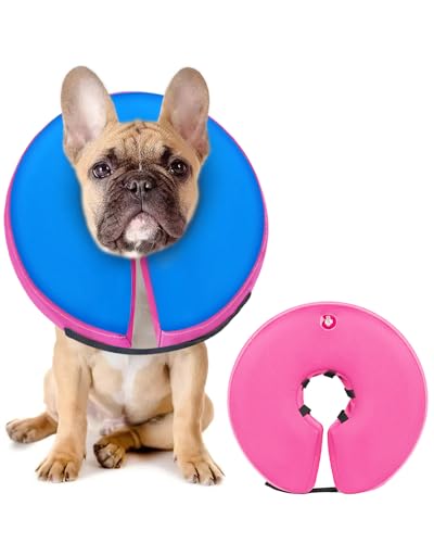 Image of MIDOG Inflatable Dog Cone, Donut Recovery Collar After Surgery, Medium