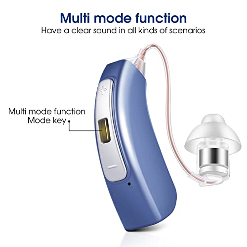 Britzgo Hearing Aids With Noise Cancellation,Rechargeable Hearing Amplifier,2Hr Fast Charging #TOP4