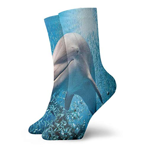 Sea Animals Fashion Compression Socks,A Bottlenose Dolphin In The Ocean,Performance Polyester Cushioned Athletic Crew Socks for Running,Athletic,Blue Grey -12 inch