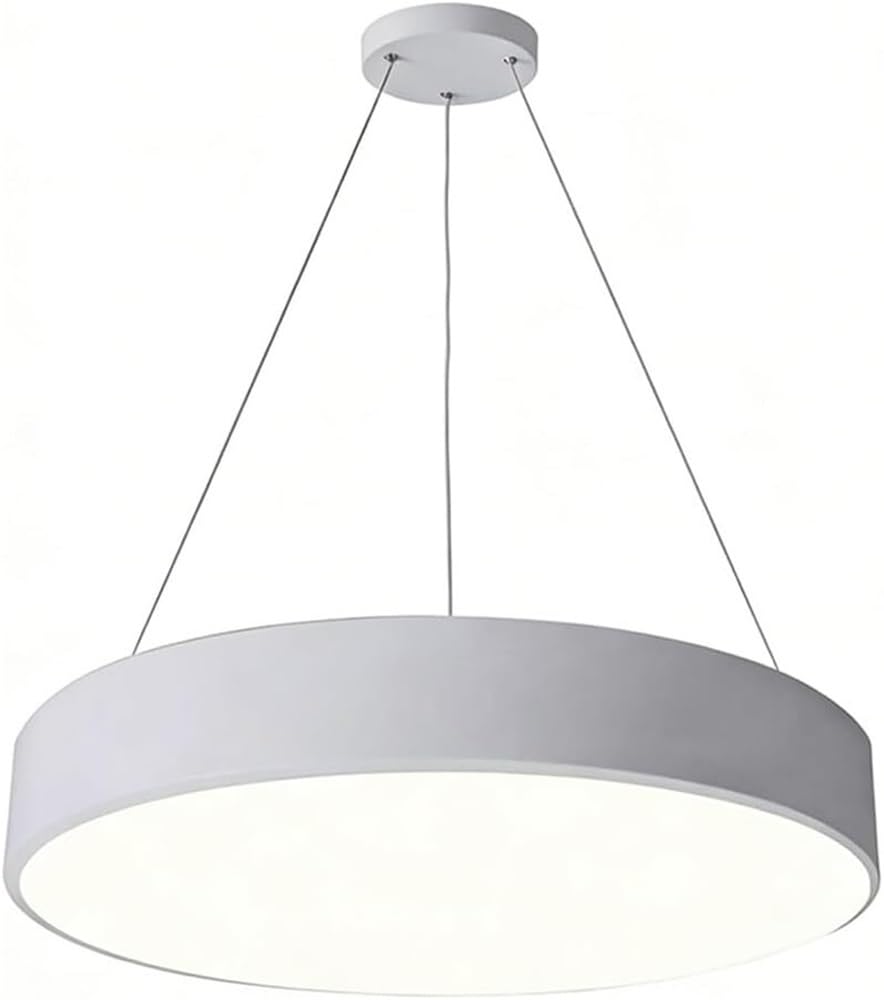LYOUAE Modern Minimalist Office Pendant Light Creative Round LED Dimming Iron Hanging Lamp Clothing Store Restaurant Hanging Ceiling Lamp(White,80CM)