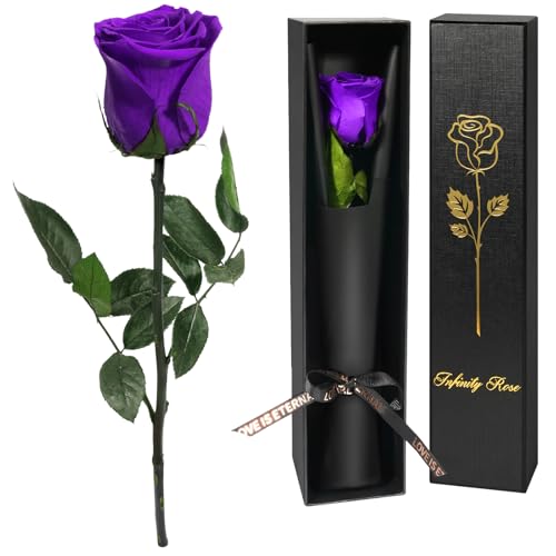 Yamonic Rosa Eterna Presentes para Mulher, Rosa Preservada com Caule Presente de Aniversário para Mulher, Flores Preservadas Presente para Mulher Natal Rosa Eterna Natural Preservada Presente Dia dos