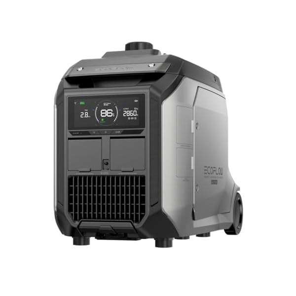 EF ECOFLOW 3200W DC Fast Charging Dual Fuel Smart Generator with LPG and Gas Support