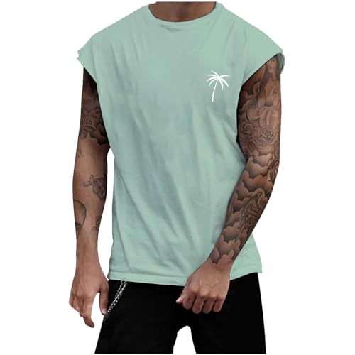 Camiseta sin mangas para hombre – Camiseta de tirantes de verano – Deporte – Muscle – Fitness Gym – Entrenamiento – Camiseta de cuerpo – Camiseta de cuerpo – Transpirable – Bodybuilding – Regalos