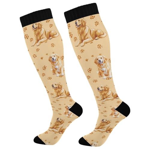 Image of Pigsaly Womens Compression Socks Yellow Stars Funny Brown Capybara Knee High Socks Athletic Tube Sock Outdoor Sport Socks