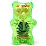 4D Master Green Gummi Gummy Bear Anatomy Model Kit by Jason Freeny