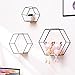 ZWMBYN Estantes flotantes hexagonales montados en la pared, juego de 3 estantes de almacenamiento geométricos de metal, exhibición de estante de pared de madera rústica, cocina y oficina, negro