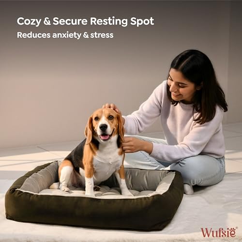 Image of Reversible Rectangle Dog Bed | Medium 60 X 75 Cm Pet Bed for Dogs and Cats | Premium Velvet, Washable Fabric | Soft Sofa-Style Bed for Dog with Thick 15 Cm Insert | Brown & Cream
