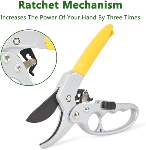 Image of JD FRESH Ratchet Pruning Shears 8 Inch, Sk-85 High Carbon Steel Gardening Scissor Plant Cutter for Flowers, Herbs, Hedge Plants, Stems, Branches, 3 Stage Ratchet, Safety Lock, Anti Slip Handle