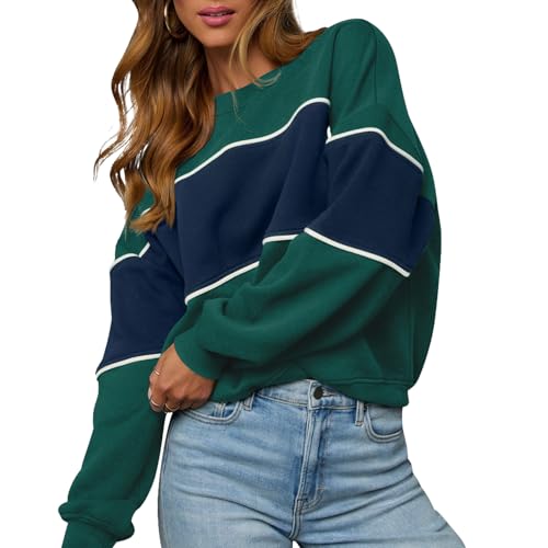 LACOZY Women's Casual Long Sleeve Color Block Tops Crewneck Lightweight Sweatshirt Soft Pullovers Blue 2XL