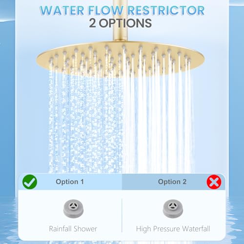 KINLIV 25CM Runder Gold Regendusche Duschkopf, 10 Zoll Wasserfall Duschkopf Wassersparend, Ganzmetall-Edelstahl 304, Decken-Regenduschkopf mit 90 Anti-Verstopfungs-Silikondüsen