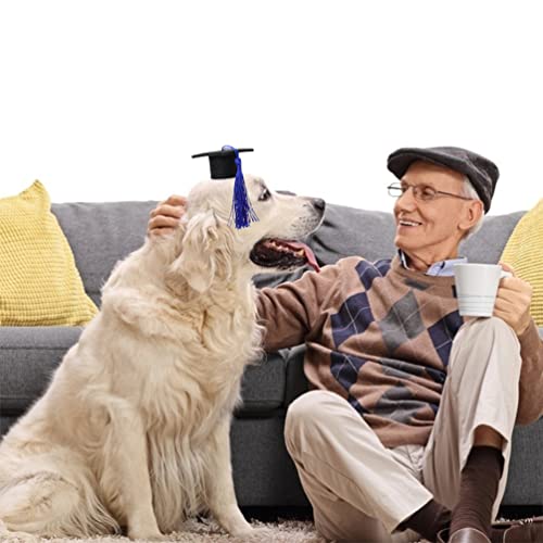 Gorro de graduación azul para perro y gato miniatura 3