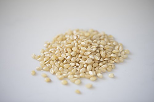 image for Amish Country Popcorn | Variety Bundles | 4 lb Baby White Popcorn Kern