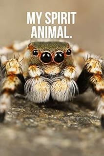 My Spirit Animal: Jumping Spider Journal