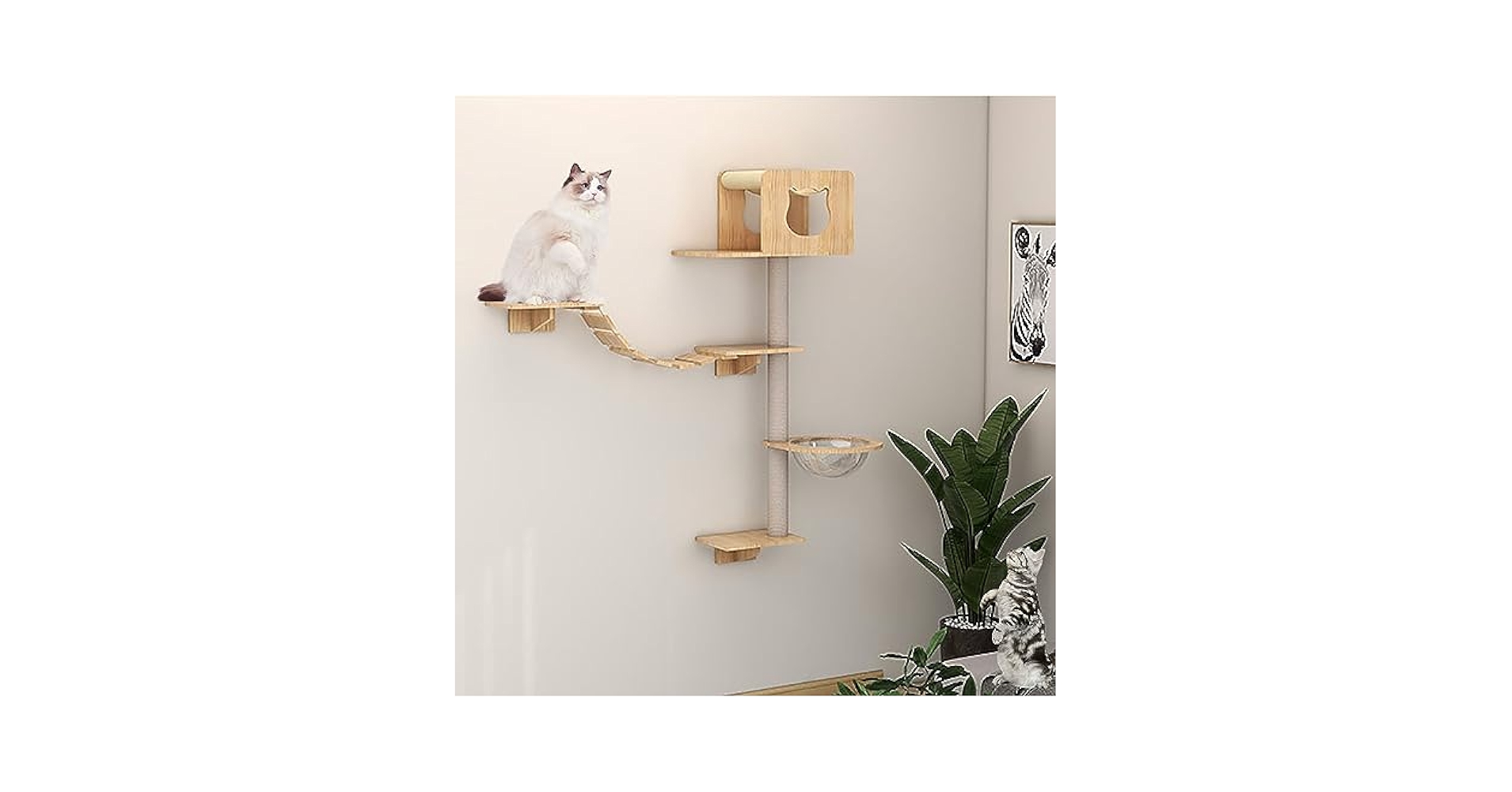 置物 catwalk Amazon.co.jp: Cat Step, Catwalk, Cat Wall Shelf Set, Large