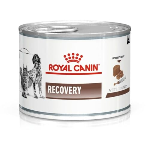 Royal Canin Vet Dog/Cat Recovery, 1er Pack (1 x 195 g)