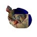 AENIMELY Realistic Dinosaur Egg Toy - Solid Dinosaur Figure Model, Educational for Kids, Cake Topper, Party Decoration & STEM Project (Oviraptor)