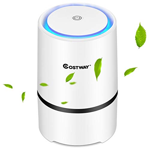 COSTWAY Luftreiniger, Air Purifier mit 2 Geschwindigkeiten, Desktop- Luftfilter 2- Stufen- Filterung, Raumluftfilter Zuhause oder Büro