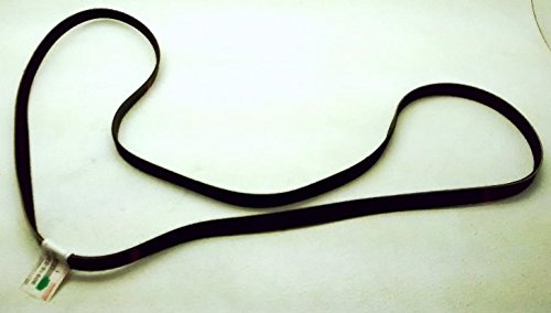 Amazon.com: Lexus 90916-02584, Serpentine Belt : Automotive