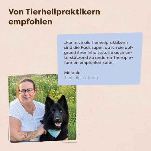 Löwenkind Dogs 100% natürliches Beruhigungsmittel für Hunde | Für innere Ruhe in Stress-Situationen zur Entspannung | Allein Sein, Tierarztbesuche, Gewitter, Feuerwerk (6 Kräuterpads, Balance-Pads)