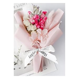 ISOLAY Lovely Car Diffuser Plug Air Freshener Dried Flower Rose Bouquet Auto Vent Decor Aromatherapy Gift Stocking Stuffers (Style K)