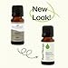 Plant Therapy Egyptian Geranium Essential Oil 100% Pure, Undiluted, Natural Aromatherapy, Therapeutic Grade 10 mL (1/3 oz)