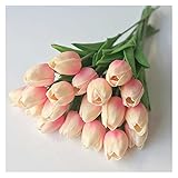 Mini Tulpe: Gesamtlänge von etwa 34 cm;Blütenhöhe von etwa 4,5 cm;Jede einzelne Blume (manuelle Messung, Fehler um 2 cm)