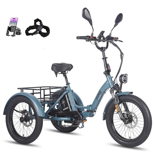 Fafrees E Bike 3 Rad, E Bike Dreirad für Erwachsene 48V 21Ah Akku, F20...