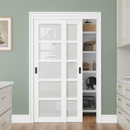 Bypass Glass Sliding Closet Door 48x80, Double Closet Panels with Hardware & Fascia, 5 Lite Frosted Tempered Glass Interior Sliding Door for Bedroom, No Assembly Required Panels