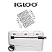 Igloo Cooler Heavy Duty Stainless Steel Hinges for Ice Chests (Set of 3)