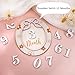 Monthly Baby Milestone Card,Three-Dimensional Wooden Baby Announcement Sign 1-12Months for Newborn Boys and Gilrs,Reversible Photoshoot Props with Gender-Neutral Gift(Bow)